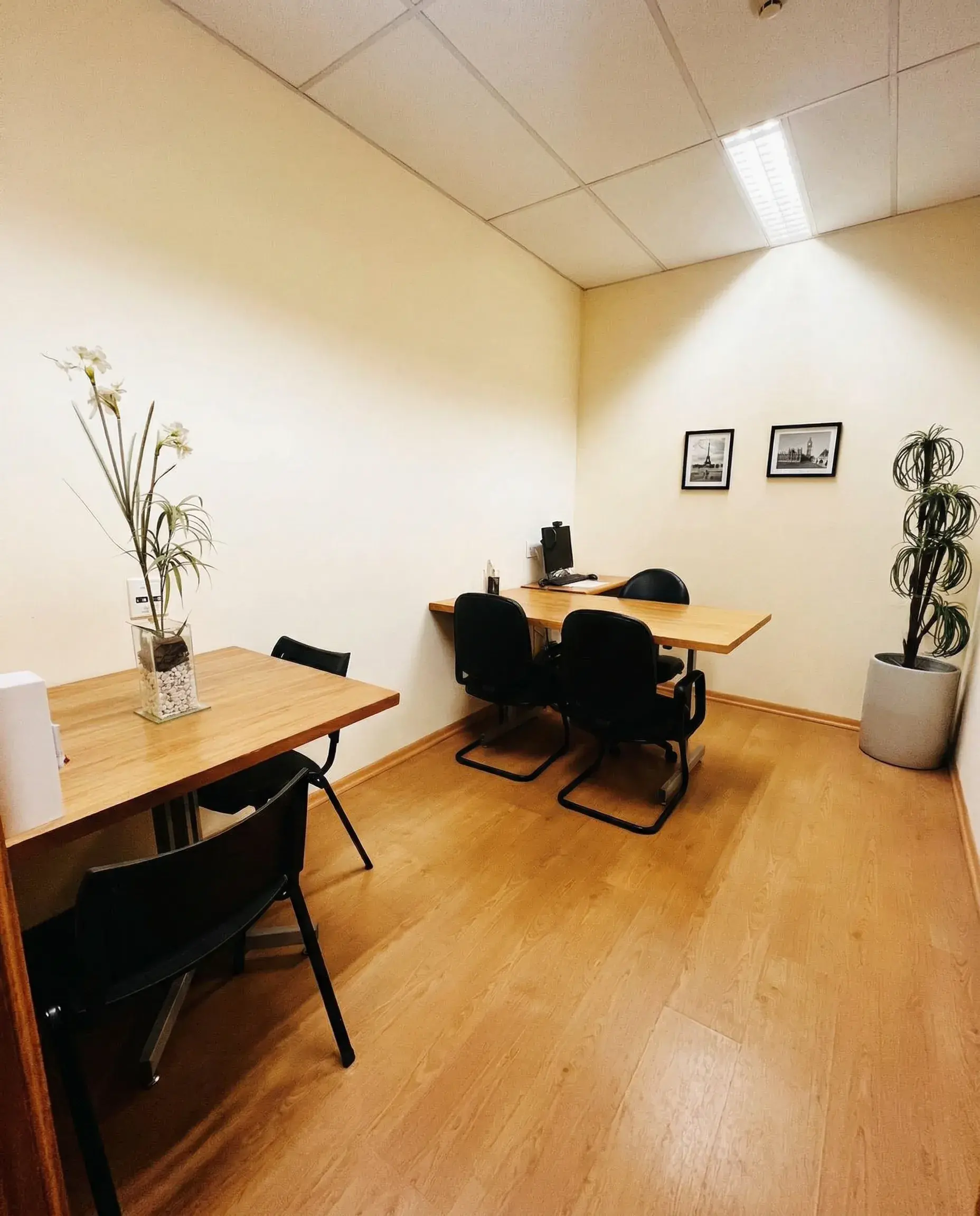 Sala executiva elegante