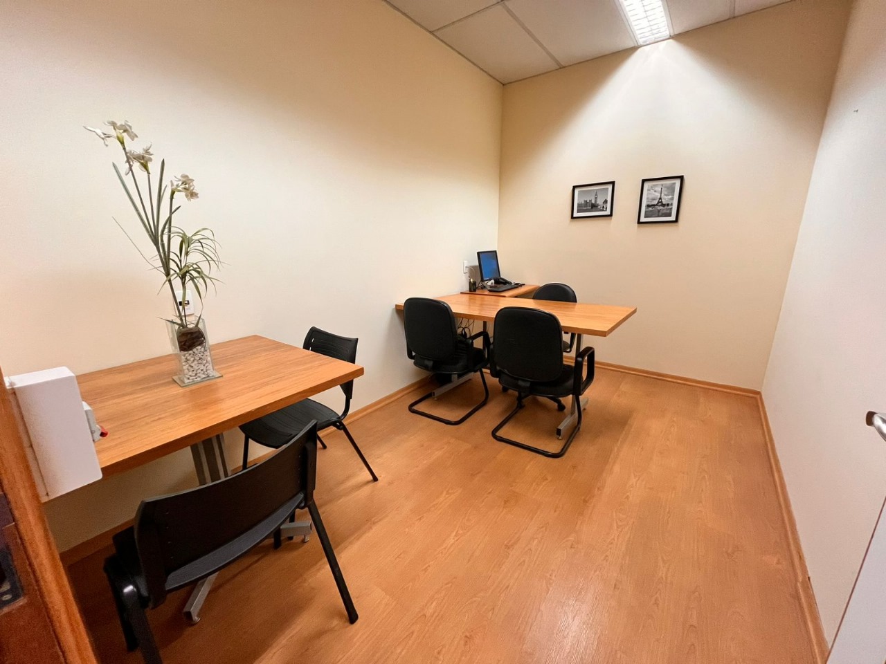 WhatsApp Image 2025-11-26 at 15.22.19